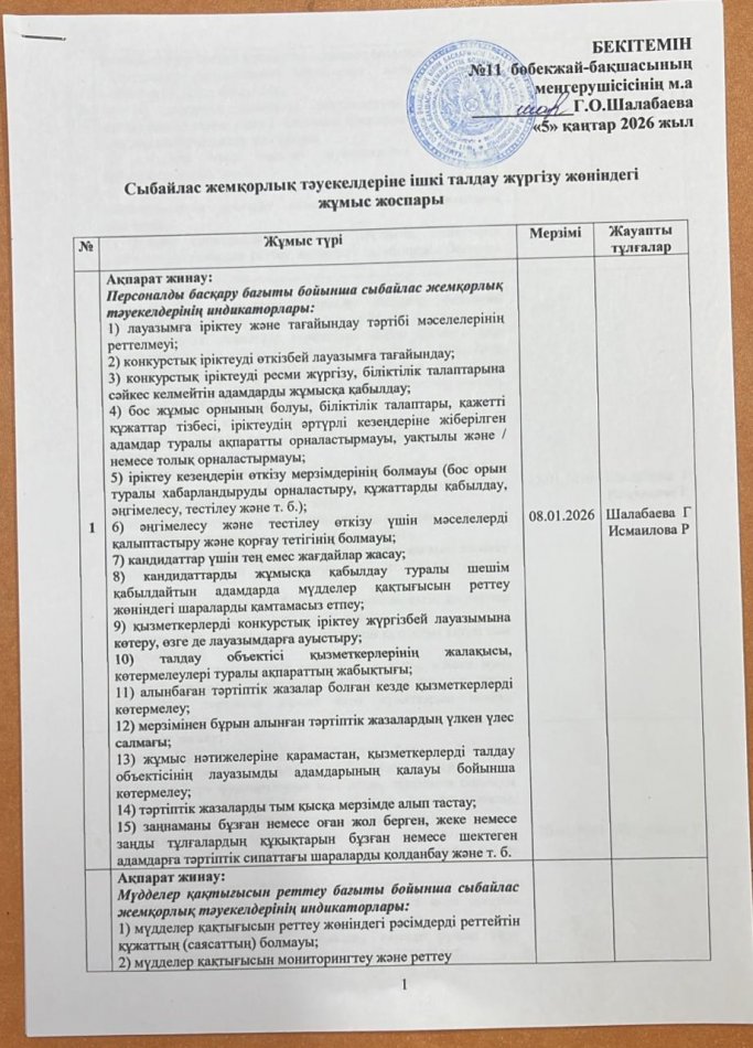 Ішкі талдау жоспары